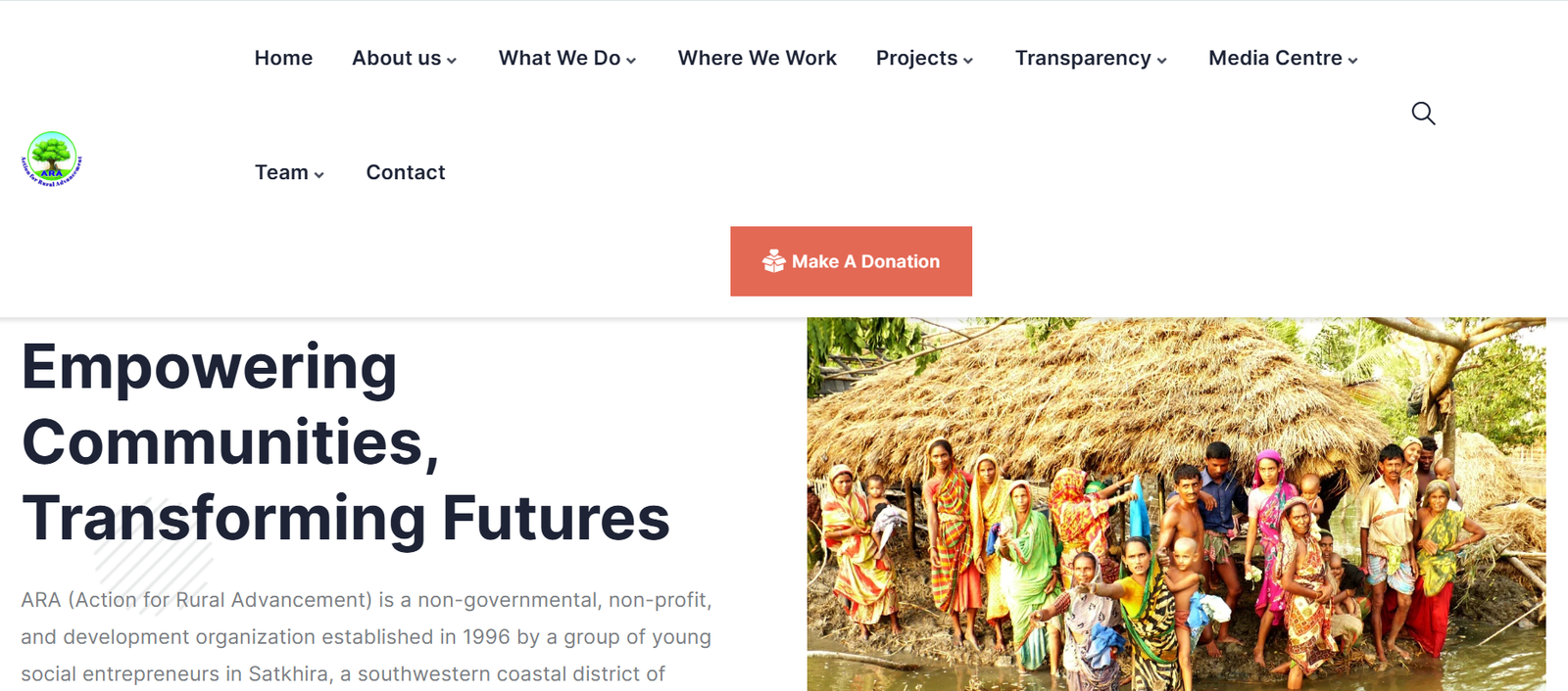 Professional Website Development